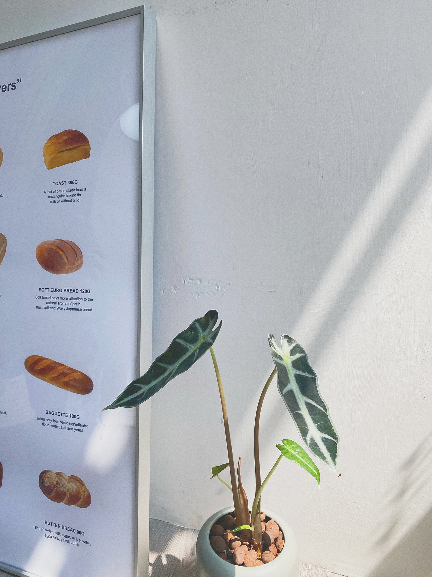 Walk-in Shopping #89812