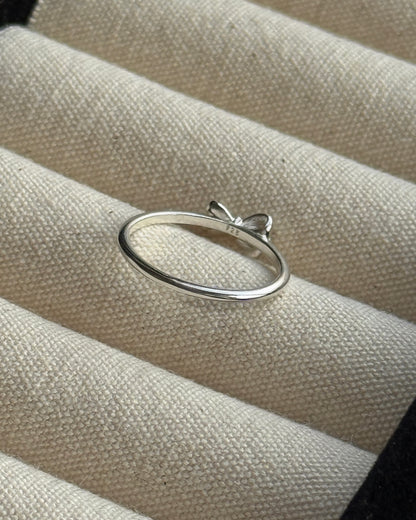 KA416 Ribbon S925 Ring