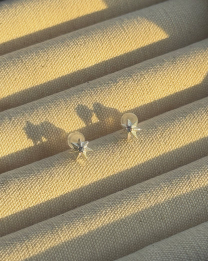 KA394 S925 ✨MINI Earring