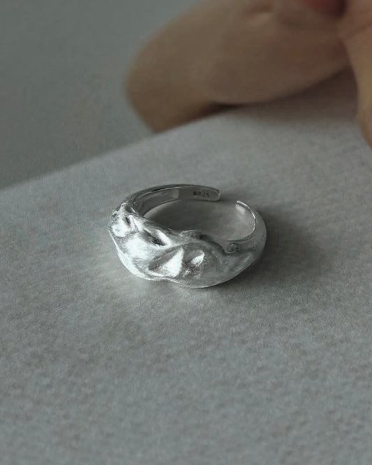 KA353 Nuts S925 Ring